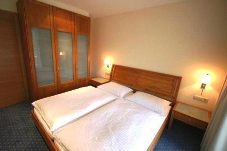 Tritscher Apartamento Schladming